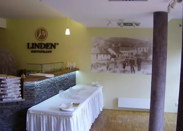 Linden Restaurant And ゲストハウス ブルノ